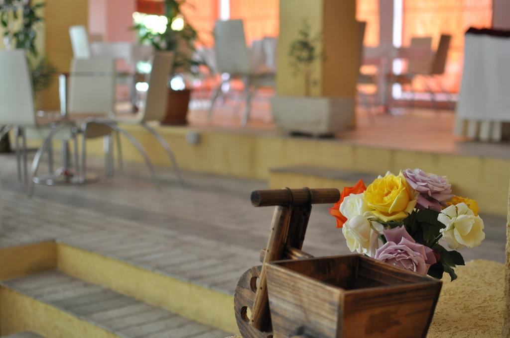 Theranda Boutique Hotel Tirana Zewnętrze zdjęcie