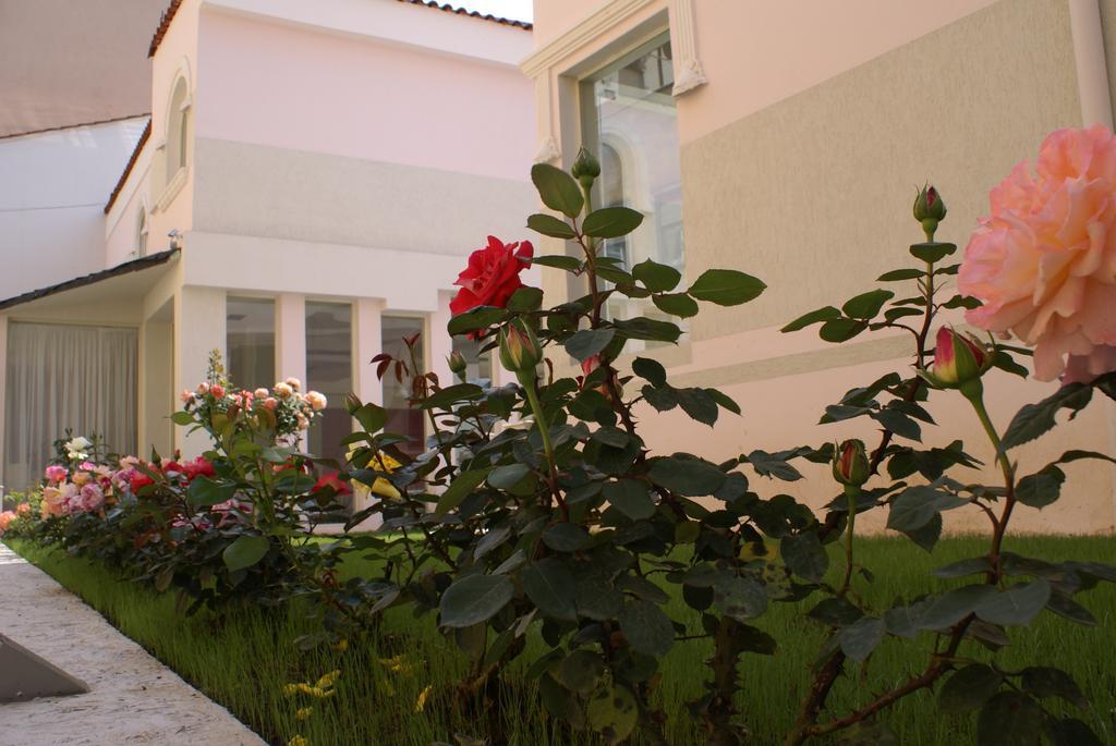 Theranda Boutique Hotel Tirana Zewnętrze zdjęcie